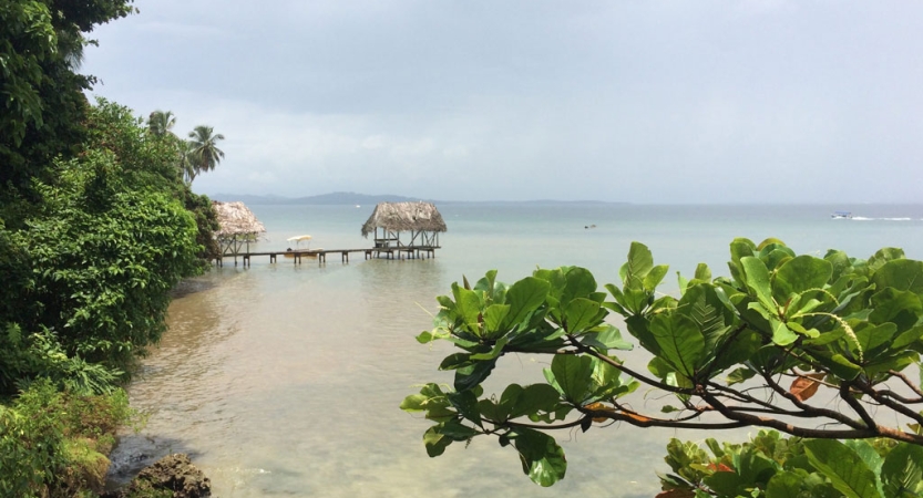 Green shrubs and trees frame the ocean, and a wooden dock juts out from the shore into the water. 